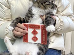 -纳吉亚猫专科动物医院博雅分院