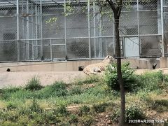 -石家庄市动物园