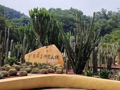 -深圳仙湖植物园