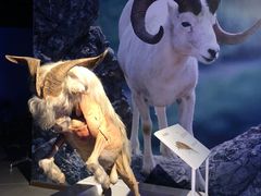 -生命奥秘博物馆