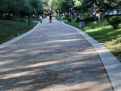 -莫子山公园