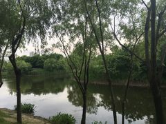 -新江湾城公园
