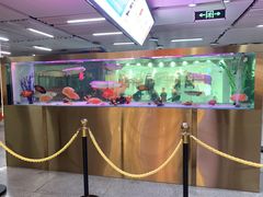 -连城·新天地(福华一路店)