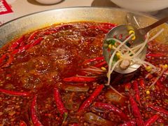 -小龙坎火锅(春熙太古里店)