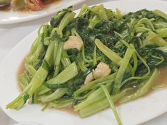 -新陶陶酒家