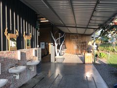-鹿境梅花鹿生态园区