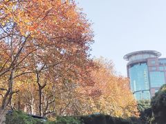 -上海花园饭店