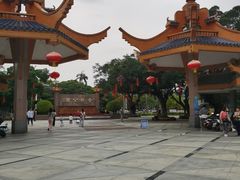-金砂公园