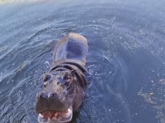 -杭州野生动物世界