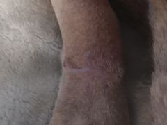 -派特宠物医院(圆融广场店)