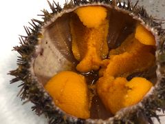 -HIHE Bistro·Oyster Bar(华熙live店)