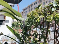-翡翠鸟精品泰国菜(北辰财富中心店)