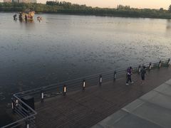 -大兴滨河森林公园