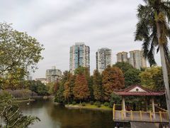 -晓港公园