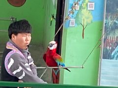 -五龙山野生动物王国