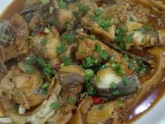 千岛湖有机鱼头-全乐鱼馆·淳牌有机鱼直营店