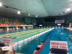 -重庆市奥林匹克体育中心-游泳跳水馆