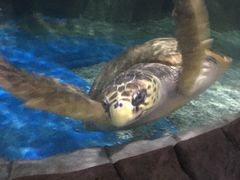 -多彩贵州城极地海洋世界