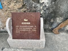 -石炮台公园
