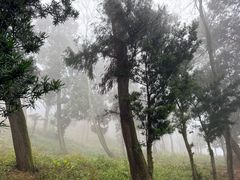 -金堂县云顶石城风景区