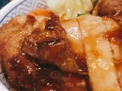 -吉野家(红博中央公园店)