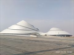 -哈尔滨大剧院