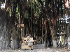 -胡里山炮台