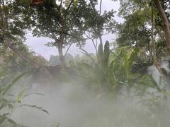 -中国科学院西双版纳热带植物园