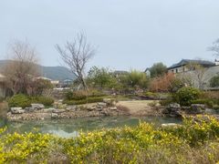 -春色如许·茶食餐厅(桃李春风店)