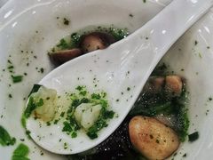 -农家大院
