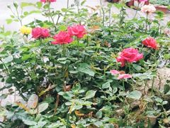 -听香·678茶铺(猛追湾店)