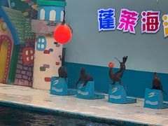 -蓬莱欧乐堡海洋极地世界