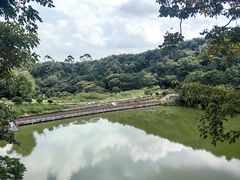 -黄埔油麻山森林公园