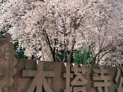 -木塔寺遗址生态公园