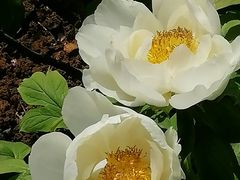 -幕燕滨江·长江观音景区