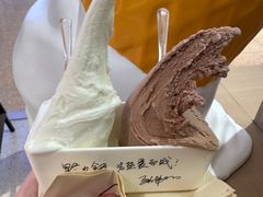 -野人先生现做冰淇淋(北京顺义祥云小镇店)