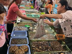 -南沙十九涌渔人码头-南门