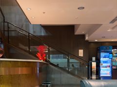 -齐动力网球(国贸店)