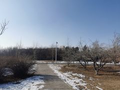 -长春公园(普阳街道)