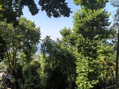 -莫干山风景区
