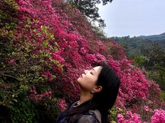 -木兰云雾山