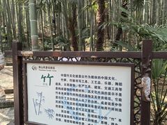 -镇江市南山风景名胜区竹林景区