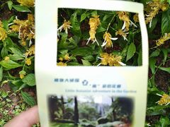 -广州花园酒店-凌璇阁360度高空海鲜自助餐CAROUSEL