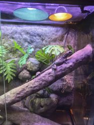 -酷嗒动物文化乐园(cutezoo西溪乐天城店)