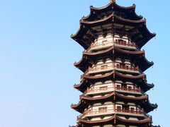 -洋湖国家湿地公园