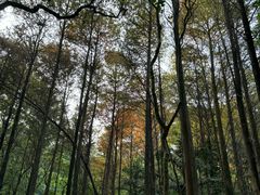 -广州市白云山风景名胜区