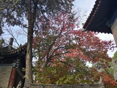 -兴教寺