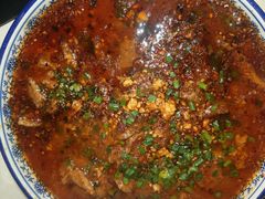 -院8里·小聚园老川菜(九眼桥店)