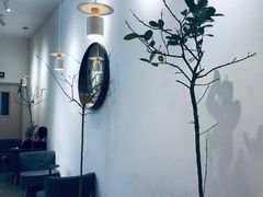 -树夏(金楠天街店)
