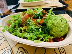 -油梨树 AVOCADO TREE(亮马桥店)
